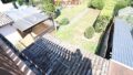 Blick in Garten
