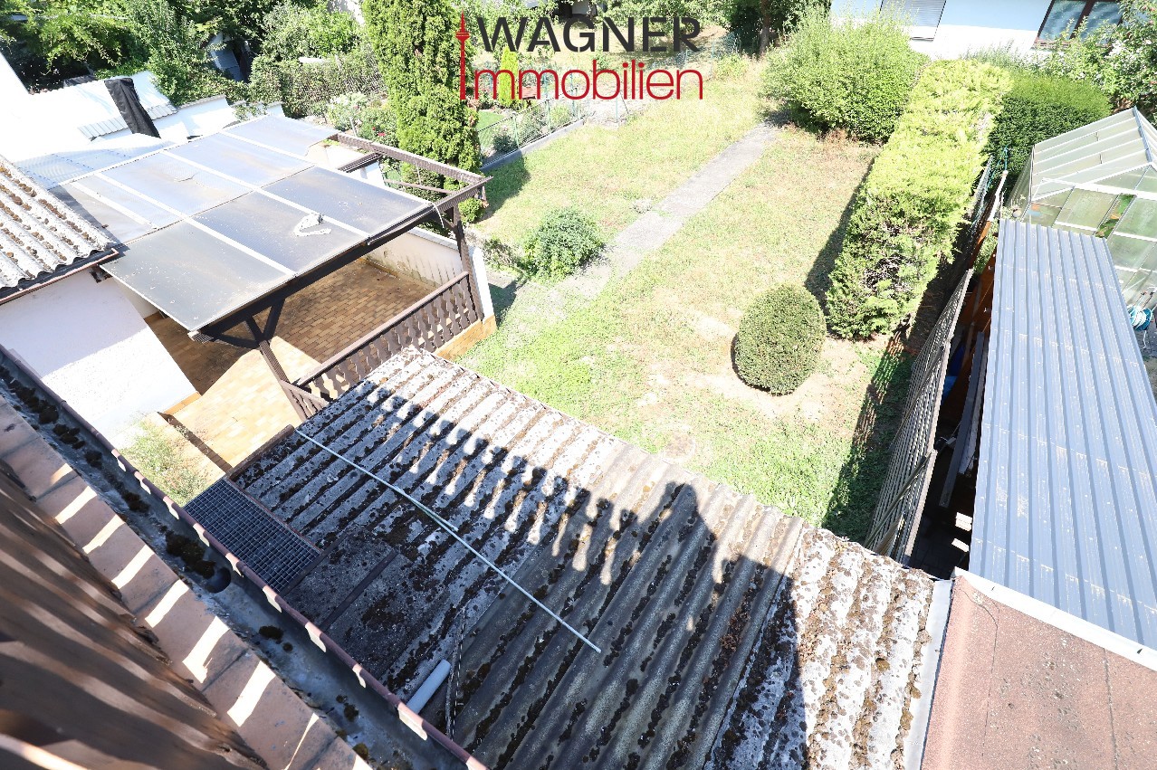 Blick in Garten
